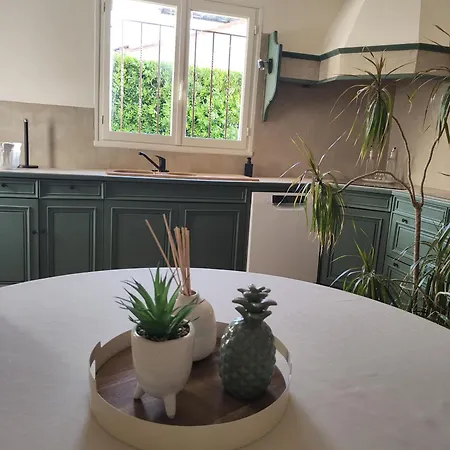 La Maison Aux Bougainvilliers Saleilles